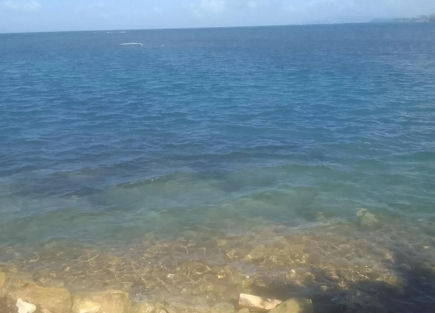Bed & Breakfast Barbican Beach Front Sandy Bay